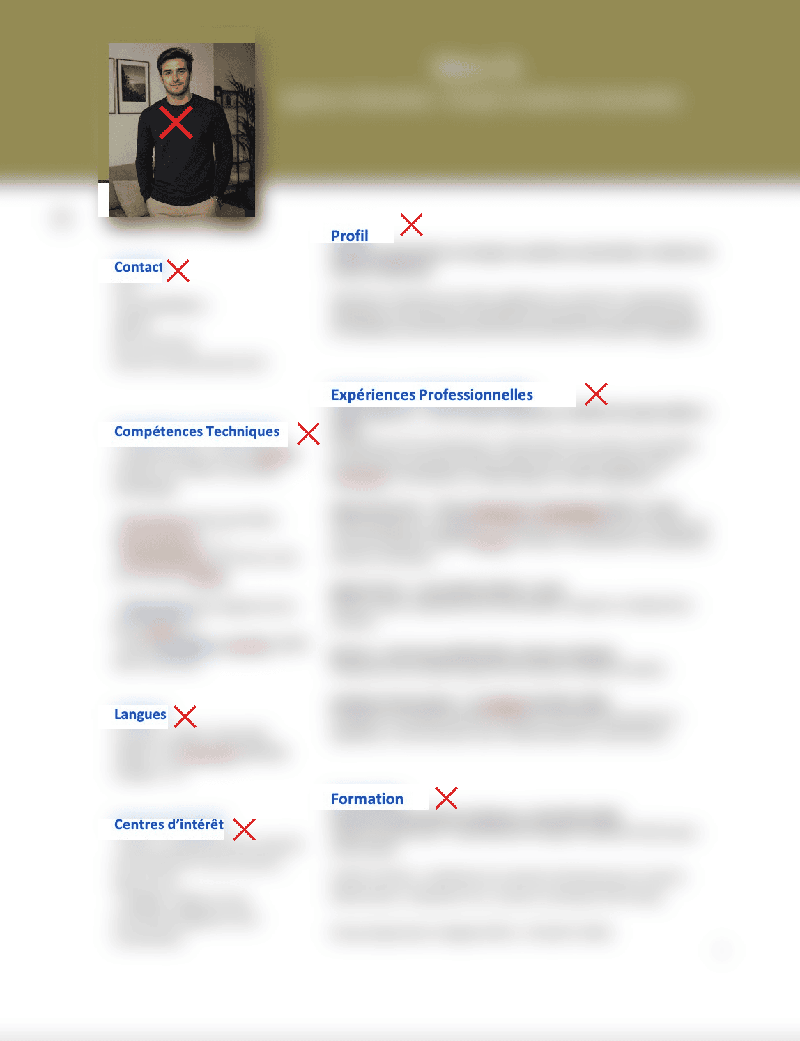 CV before byCaliber repositioning, generic student version with 7 areas marked with a red cross